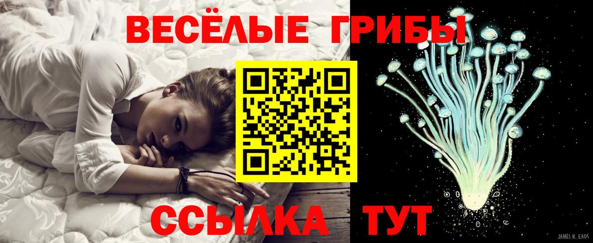 Лесосибирск  Галлюциногенные грибы прущие грибы  Вход с VPN 